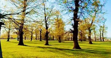 Fshati im -nga Ganimete Jakupi