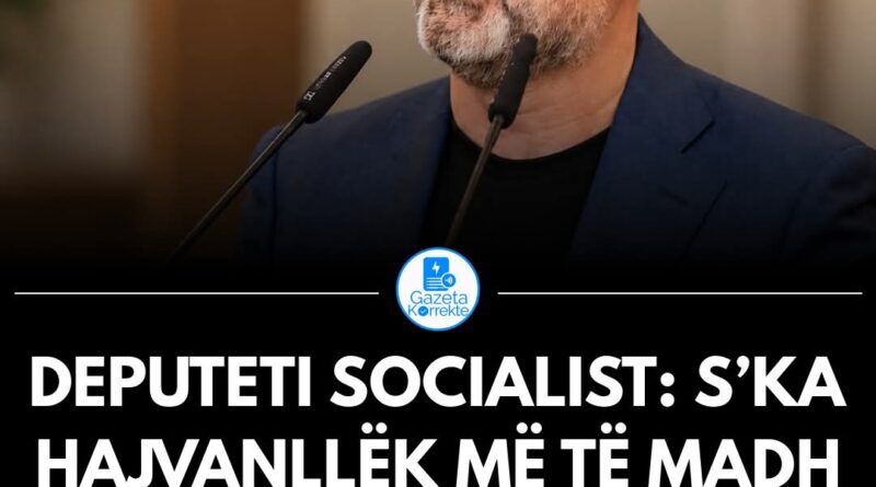 Deputeti socialist Ulsi Manja nuk ka pse përzihen shqiptaret nga treva tjera me zhvillimet në Tiranë